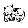 FELİDAE TIRMALAMA
