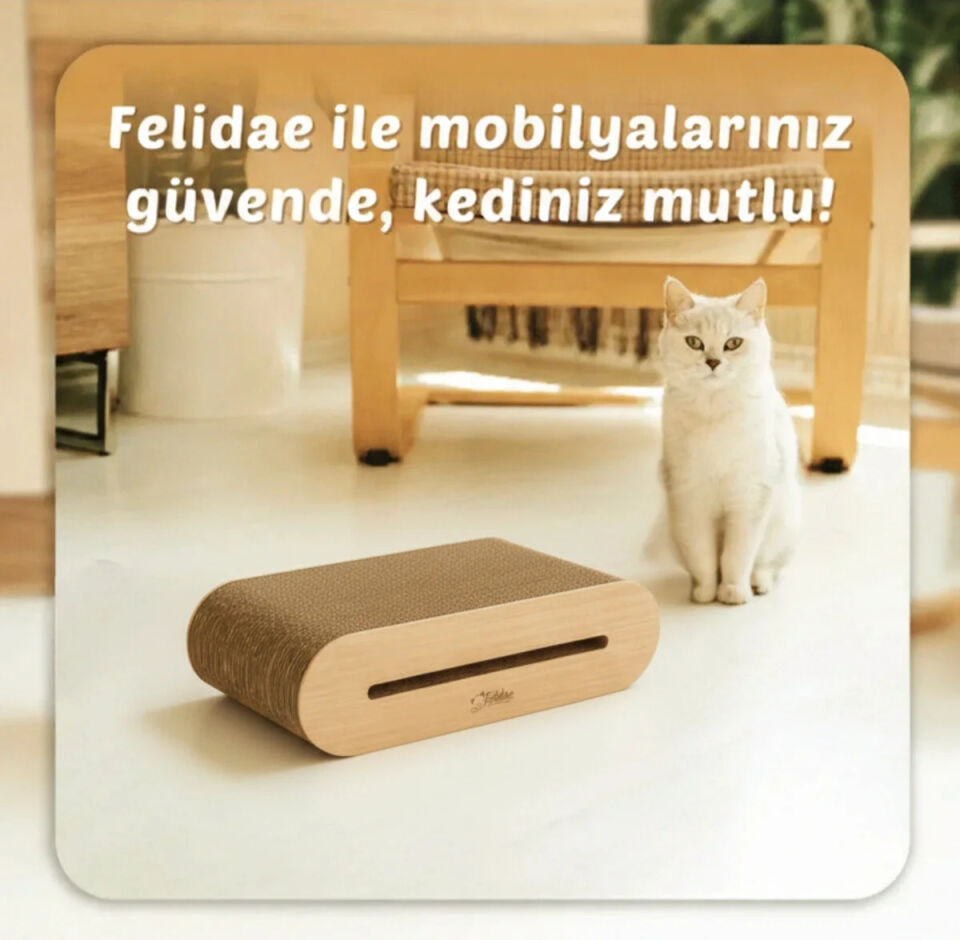 Oluklu Mukavva Kedi Tırmalama Kanepesi - Oval Tırmalama / (45X12,5X24CM) Medium - CS6 LW