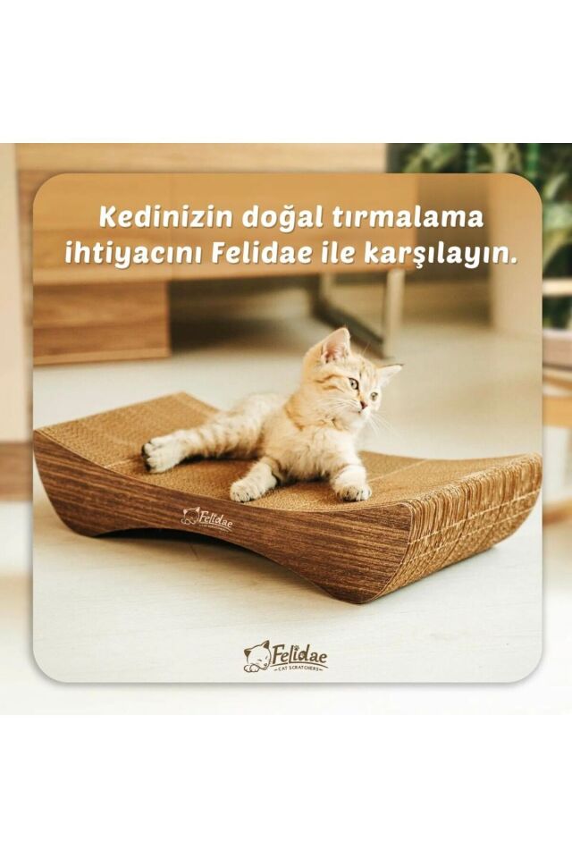 Oluklu Mukavva, Kedi Tırmalama Kanepesi – Yatay Tırmalama / (50X10X24CM) Small - CS8 DW
