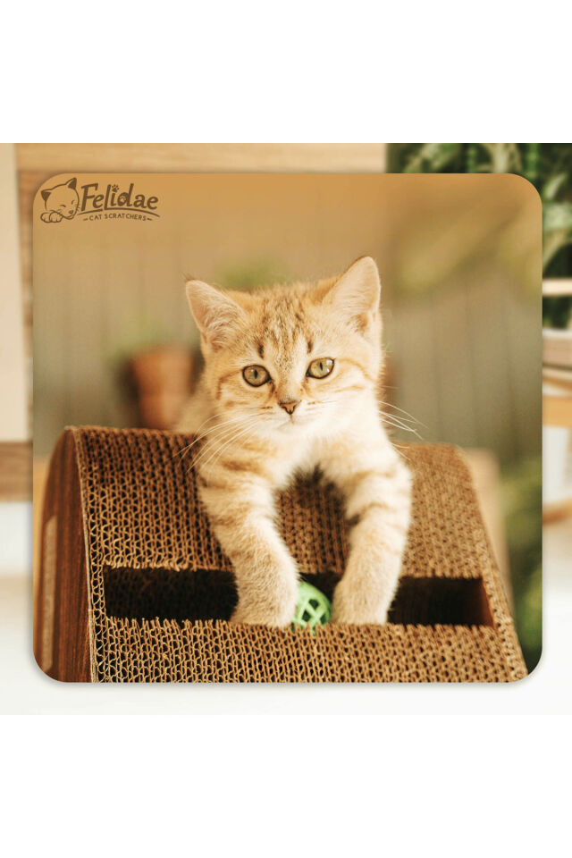 Oluklu Mukavva, Kedi Tırmalama Kanepesi – Dikey Tırmalama / (39X59X24CM) Large - CS7 DW