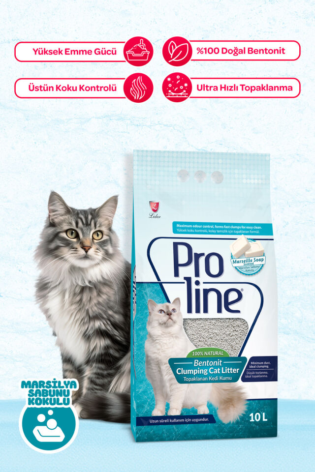 Proline Marsilya Sabun Kokulu Bentonit Kum 10 Lt