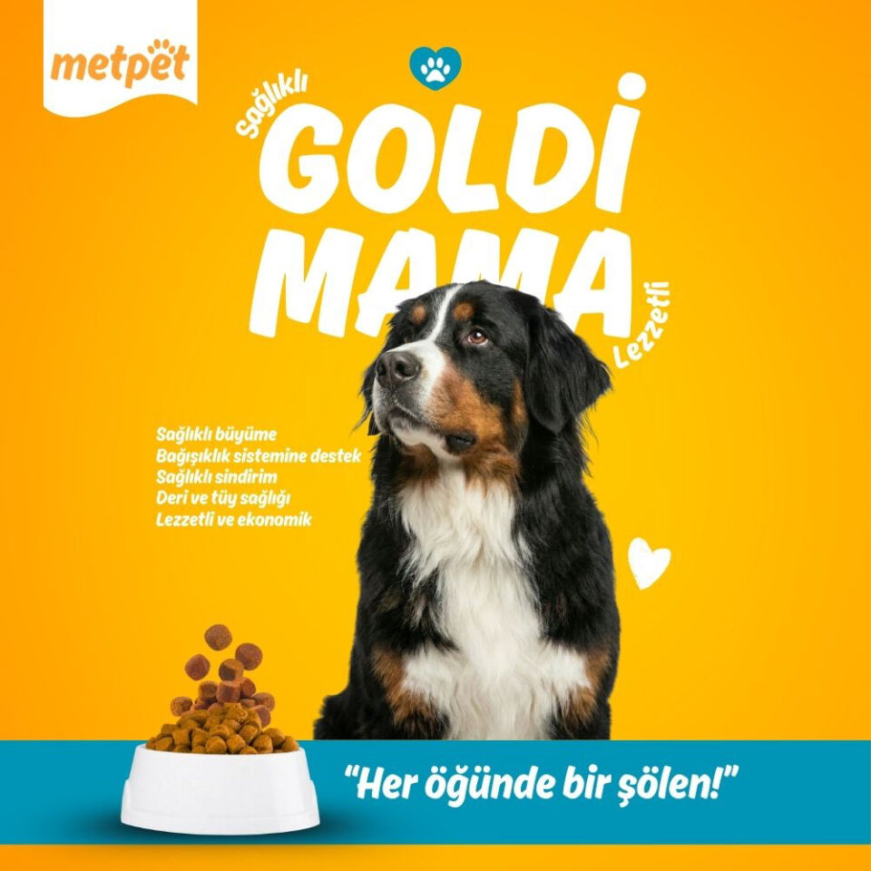 Goldi Kuzu ve Pirinçli Yetişkin Köpek Maması 15Kg