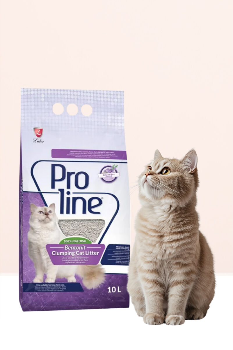 Proline Lavanta Bentonit Ince Kedi Kumu 10 Lt