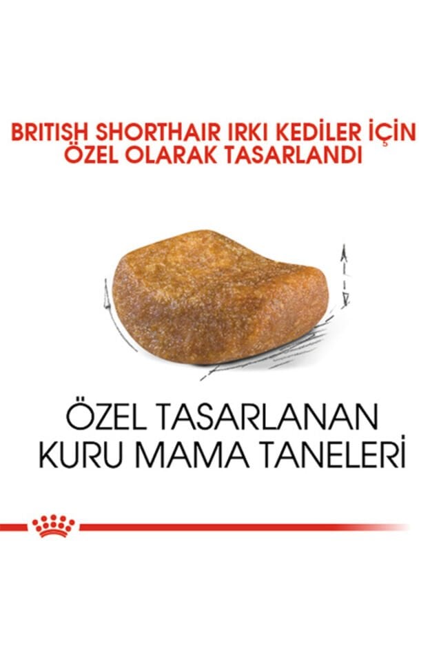 British Shorthair Adult Yetişkin Kedi Maması 10 Kg