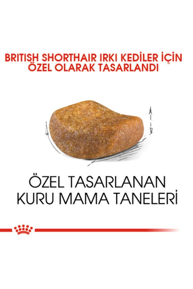 British Shorthair Adult Yetişkin Kedi Maması 10 Kg