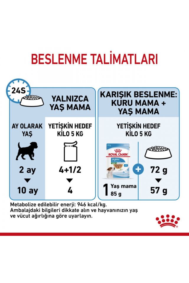 Küçük Irklar için Yavru Yaş Köpek Maması 12 x 85g