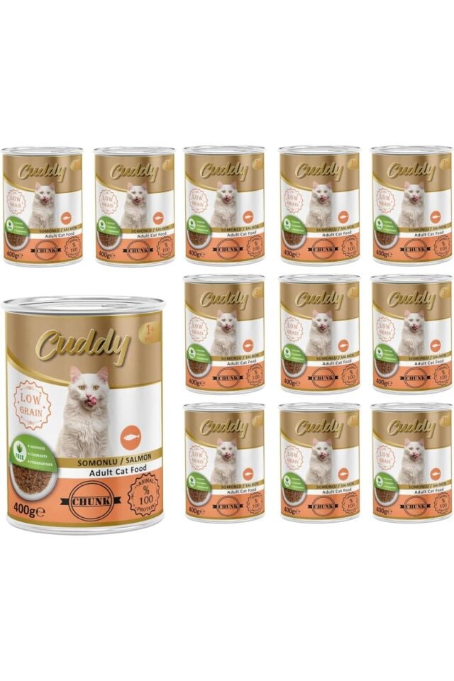 Yetişkin Kedi Somonlu ve Jöleli Konserve Mama 400 Gr x 12 adet