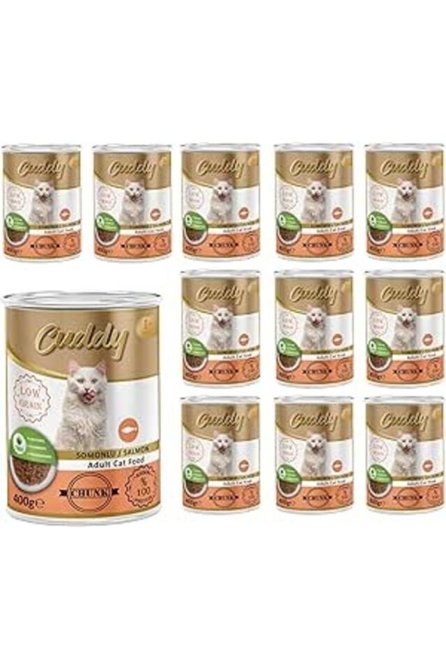 Yetişkin Kedi Somonlu ve Jöleli Konserve Mama 400 Gr x 12 adet