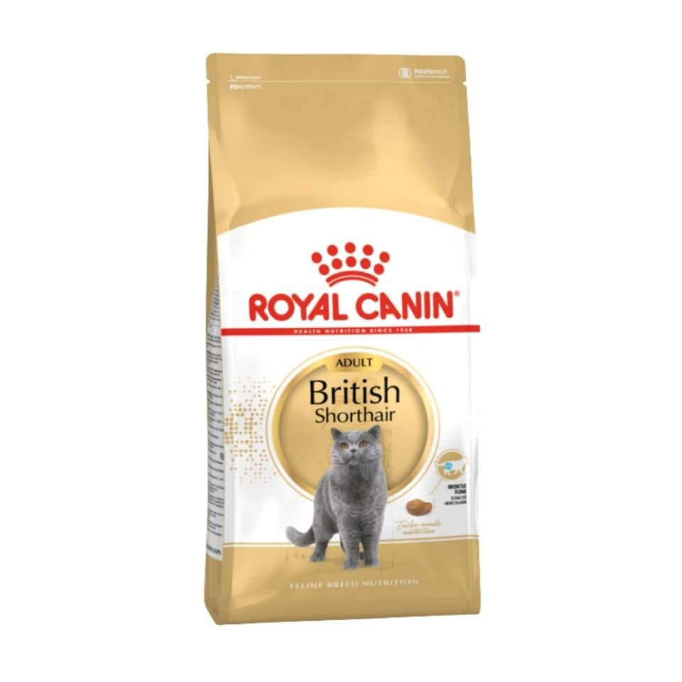 British Shorthair Için Kuru Kedi Maması 10kg