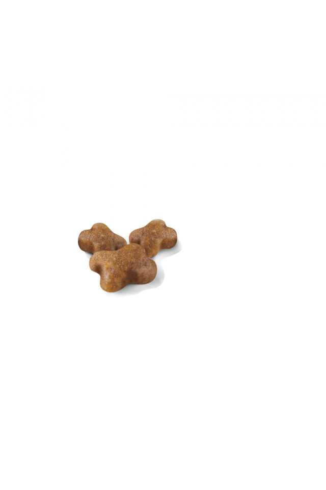 Kıttenyavru Kediler Için Kuru Kedi Maması 4kg