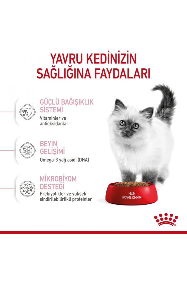 Kıttenyavru Kediler Için Kuru Kedi Maması 4kg