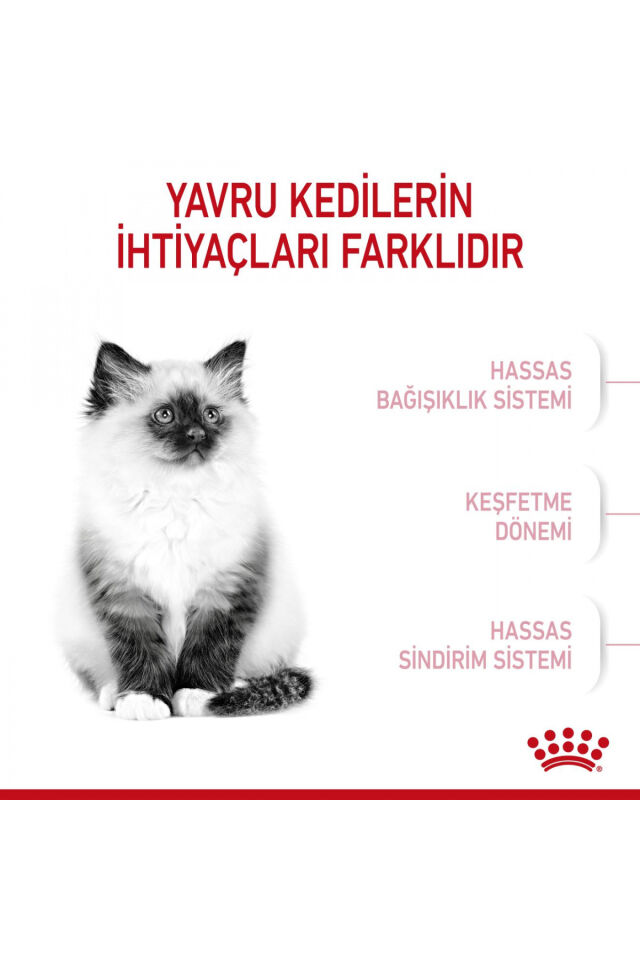 Kıttenyavru Kediler Için Kuru Kedi Maması 4kg