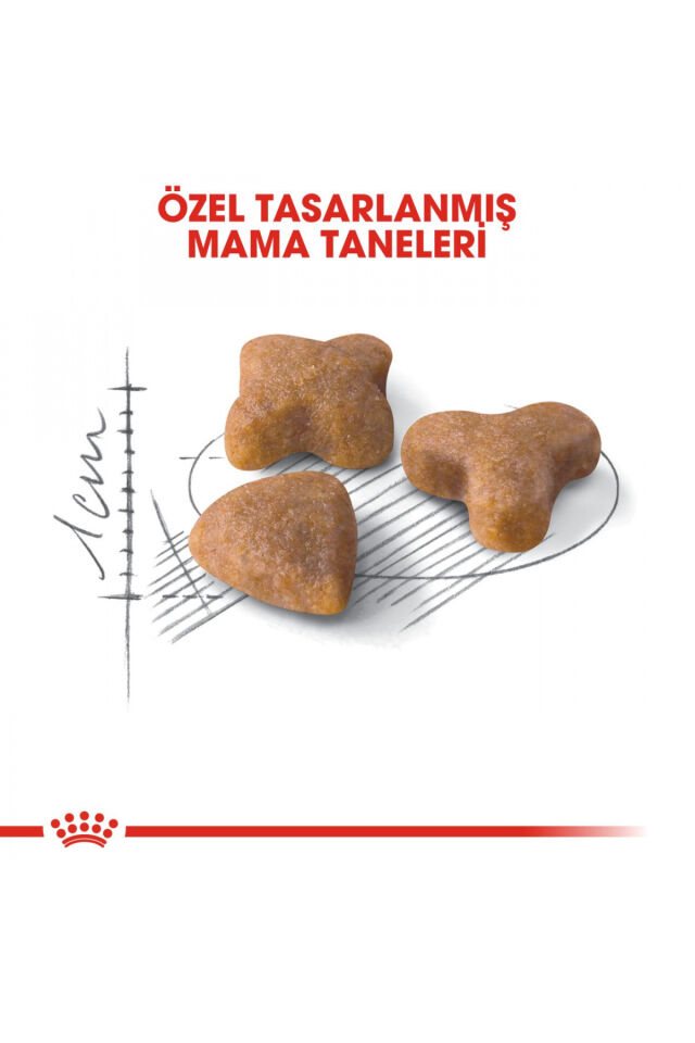 Sensible33 Sindirim Hassasiyeti Olan Kediler Için Yetişkin Kuru Kedi Maması 15kg