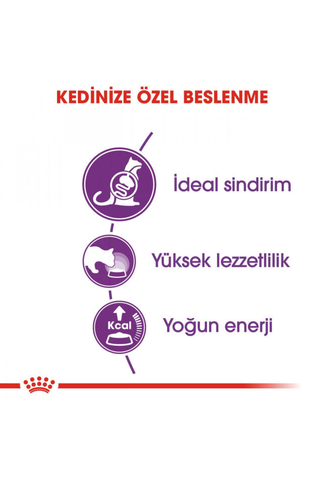 Sensible33 Sindirim Hassasiyeti Olan Kediler Için Yetişkin Kuru Kedi Maması 15kg