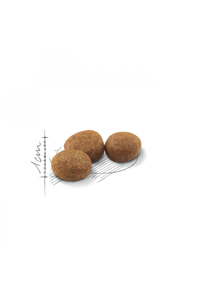 Sterilised37 Kısırlaştırılmış Kediler Için Kuru Kedi Maması 15kg