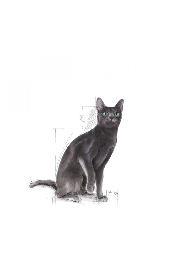 Sterilised37 Kısırlaştırılmış Kediler Için Kuru Kedi Maması 15kg