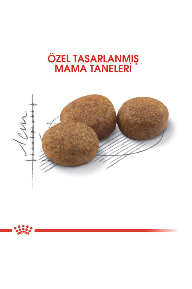 Sterilised37 Kısırlaştırılmış Kediler Için Kuru Kedi Maması 15kg
