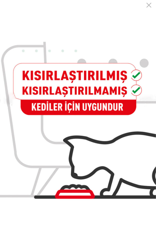 Fussy Exigent Seçici Kediler Için Kuru Kedi Maması 10kg