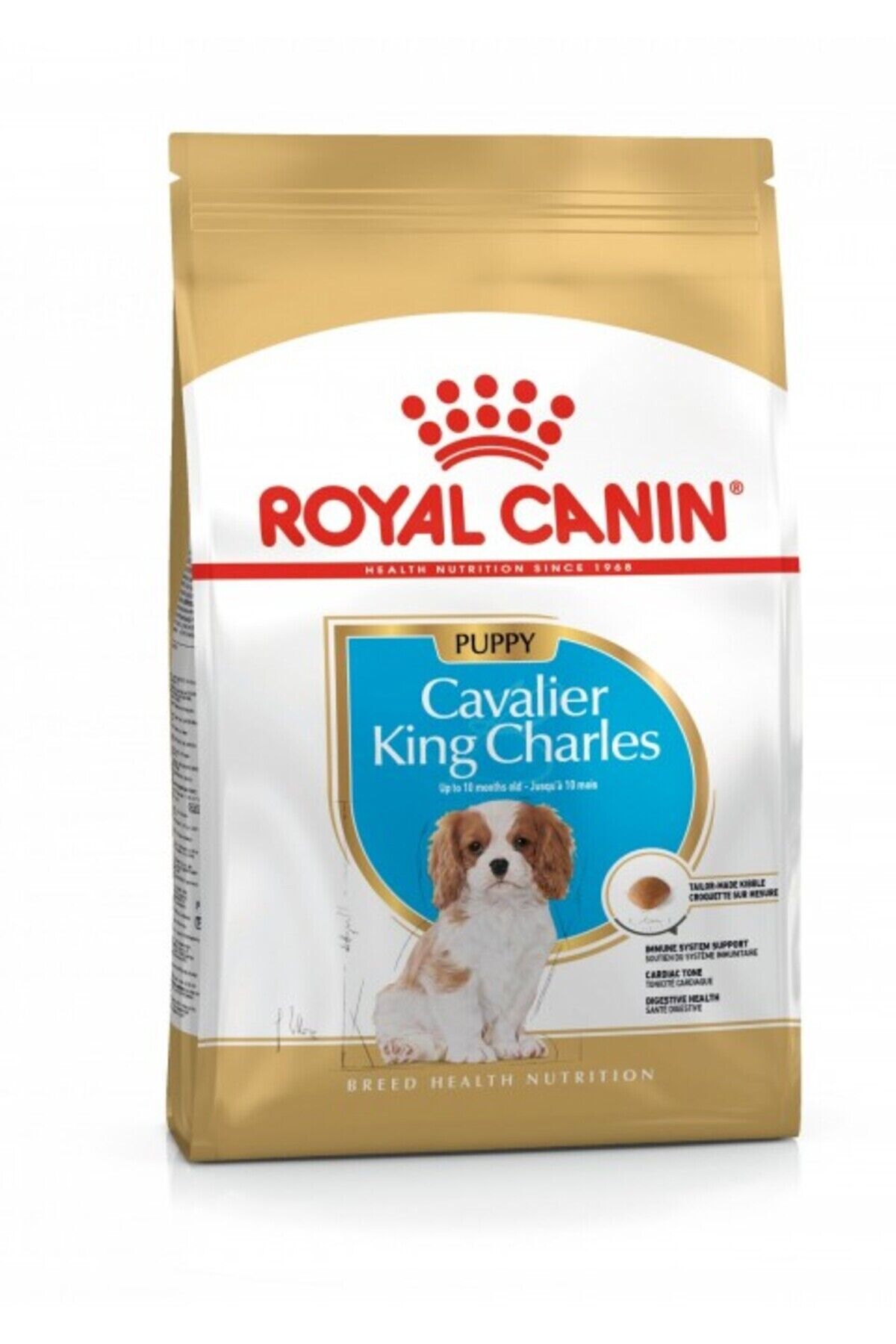 Cavalier King Charles Puppy Yavru Köpek Kuru Maması 1,5 Kg