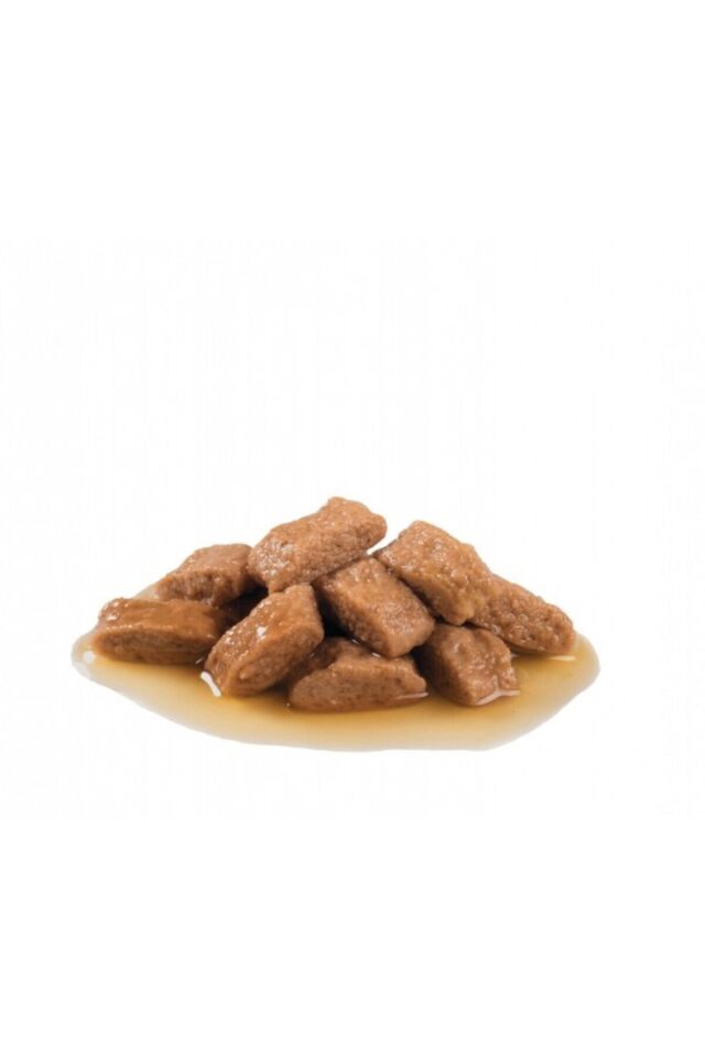 Medium Adult Gravy Yetişkin Köpek Konservesi 10 Adet 140 Gr