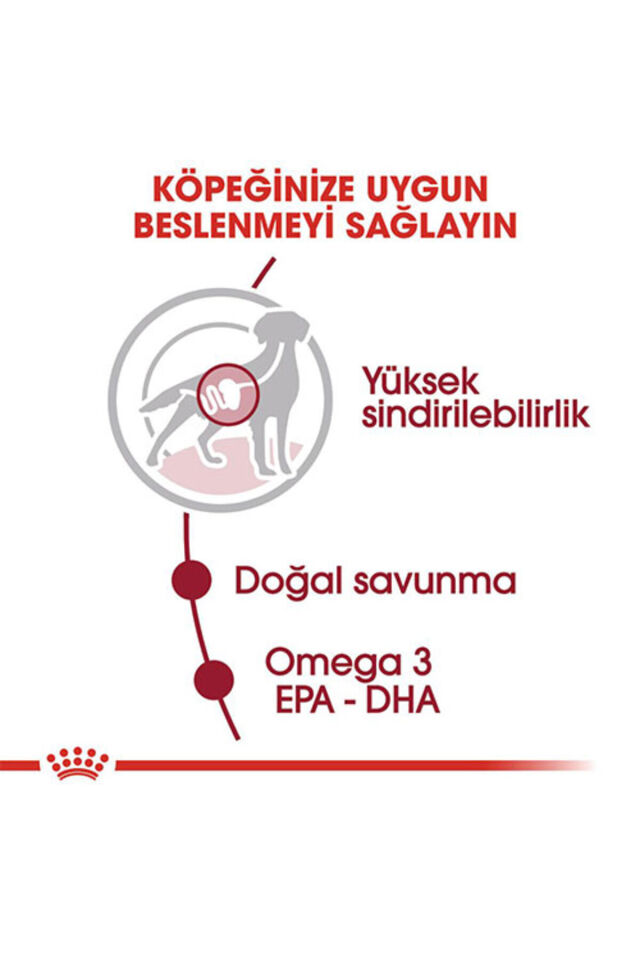 Medium Adult Gravy Yetişkin Köpek Konservesi 10 Adet 140 Gr