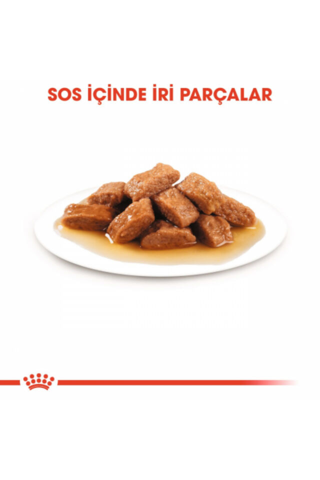 Medium Adult Gravy Yetişkin Köpek Konservesi 10 Adet 140 Gr