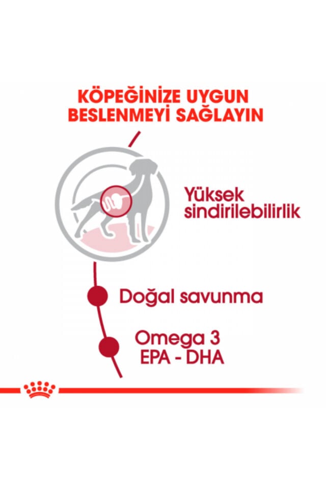 Medium Adult Gravy Yetişkin Köpek Konservesi 10 Adet 140 Gr