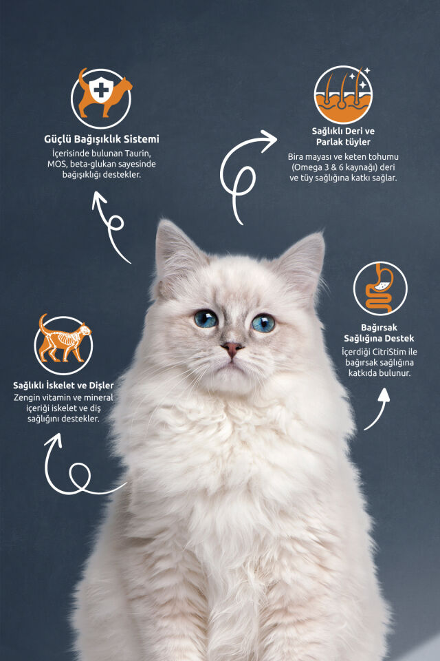 REFLEX SOMONLU KISIR  KEDİ MAMASI 2  KG