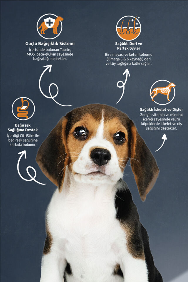 REFLEX BİFTEKLİ YAVRU KÖPEK MAMASI 3 KG