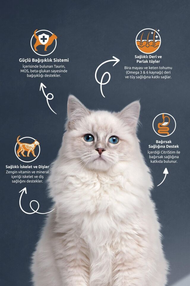 REFLEX RENKLİ YETİŞKİN KEDİ MAMASI 2 KG
