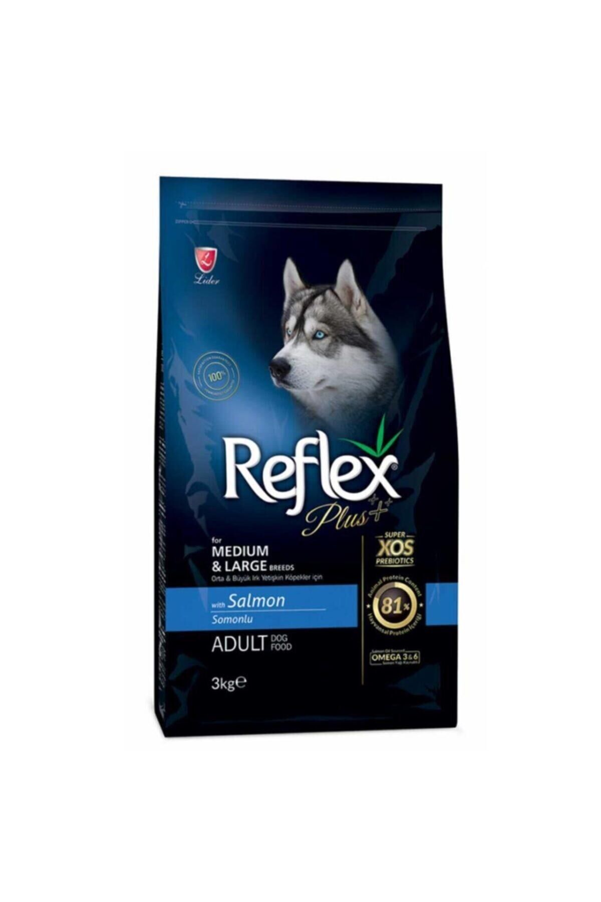 Plus Somonlu Orta ve Büyük Irk Yetişkin Köpek Maması 3 Kg