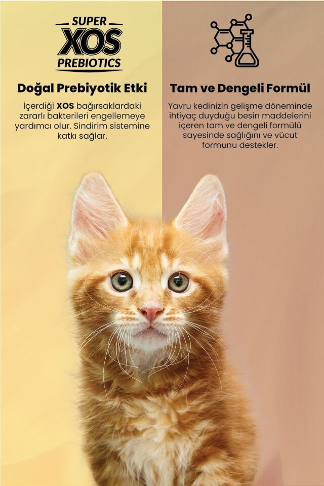 RFX PLUS SOMONLU YAVRU KEDİ MAMASI 1,5 KG