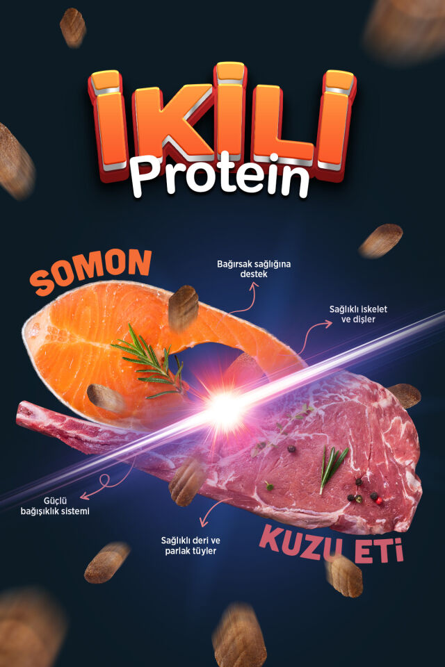 Duo Protein Somonlu & Kuzu Etli Orta ve Büyük Irk Yetişkin Köpek Maması 10 kg