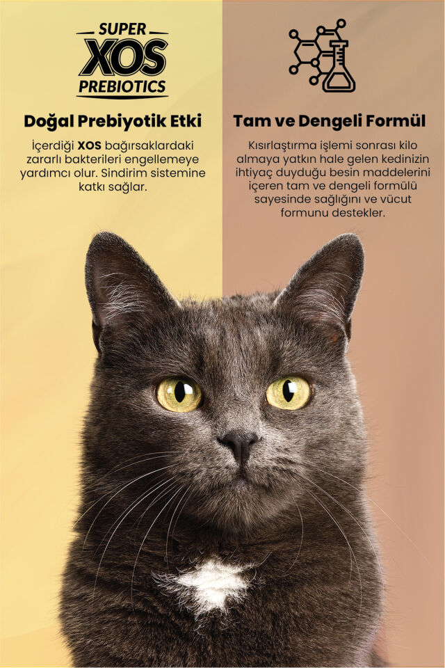 RFX PLUS STERİL TAV.YAVRU  KEDİ MAMASI 1,5 KG